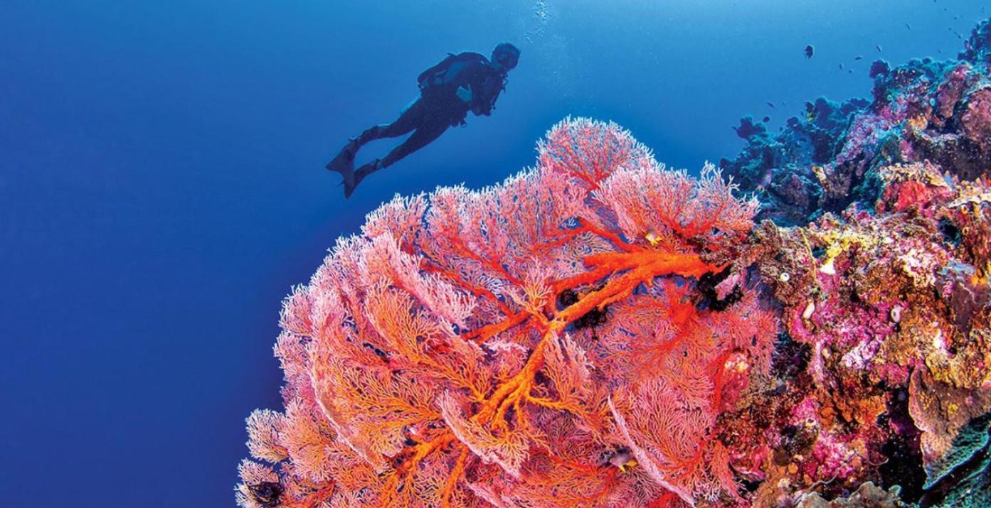 Pristine Paradise Dive Resort - Togean Islands, Una Una Pulau Unauna Buitenkant foto